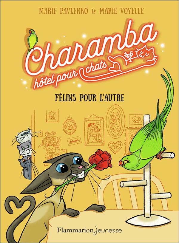 CHARAMBA, HOTEL POUR CHATS - FELINS POUR L'AUTRE