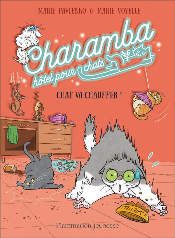 CHARAMBA, HOTEL POUR CHATS - CHAT VA CHAUFFER !