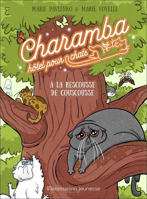 CHARAMBA, HOTEL POUR CHATS - A LA RESCOUSSE DE COUSCOUSSE