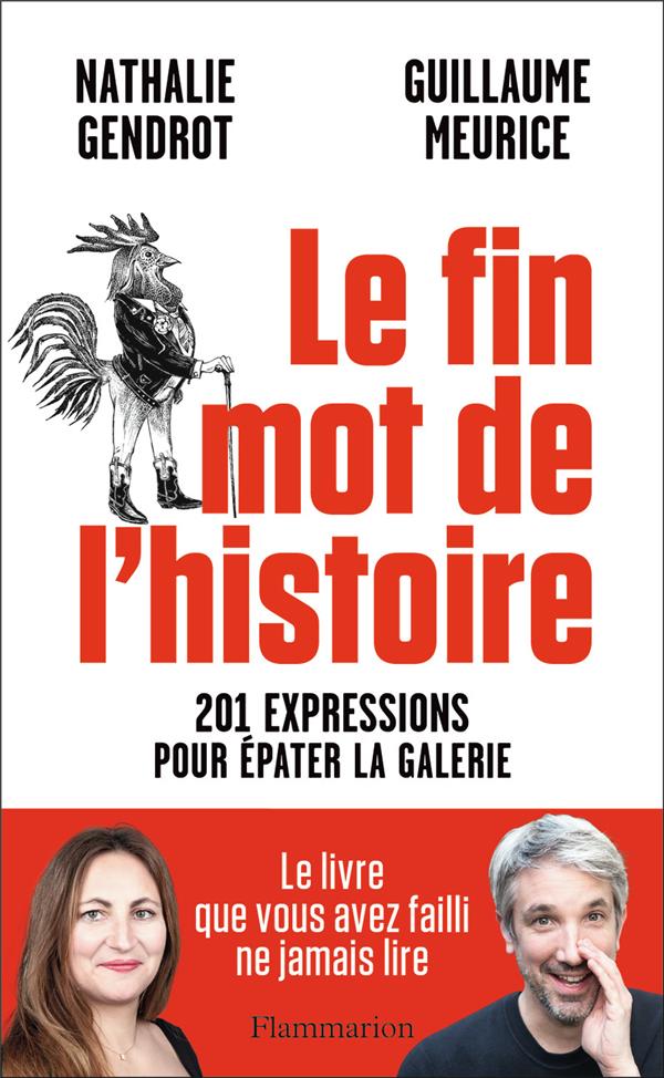 LE FIN MOT DE L'HISTOIRE - 201 EXPRESSIONS POUR EPATER LA GALERIE