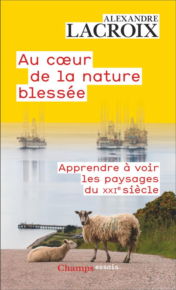 AU COEUR DE LA NATURE BLESSEE - APPRENDRE A VOIR LES PAYSAGES DU XXI SIECLE