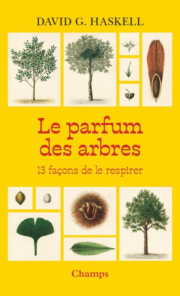 LE PARFUM DES ARBRES - 13 FACONS DE LE RESPIRER