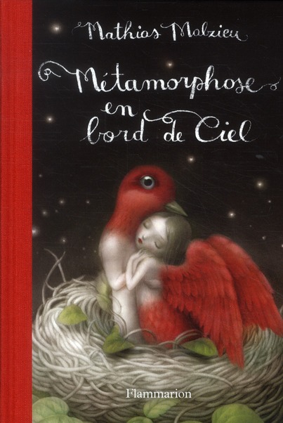 METAMORPHOSE EN BORD DE CIEL