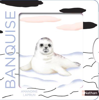 BANQUISE