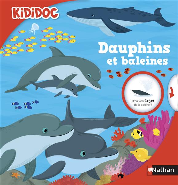 DAUPHINS ET BALEINES - VOL41