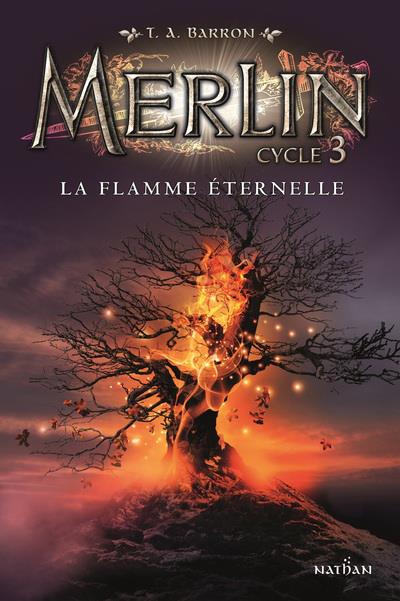 MERLIN CYCLE 3 - TOME 3 LA FLAMME ETERNELLE - VOL03