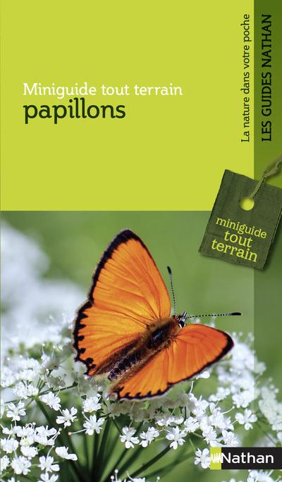 MGTT PAPILLONS