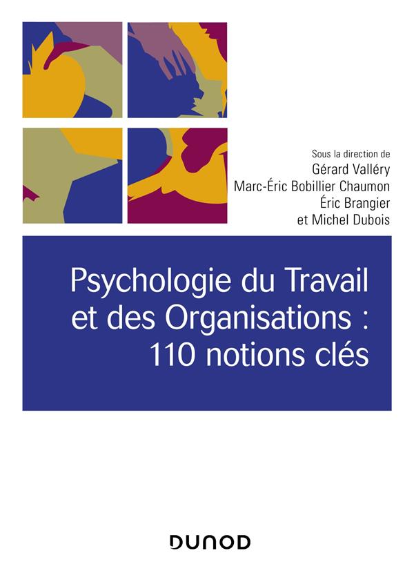 PSYCHOLOGIE DU TRAVAIL ET DES ORGANISATIONS : 110 NOTIONS CLES- 2E ED.
