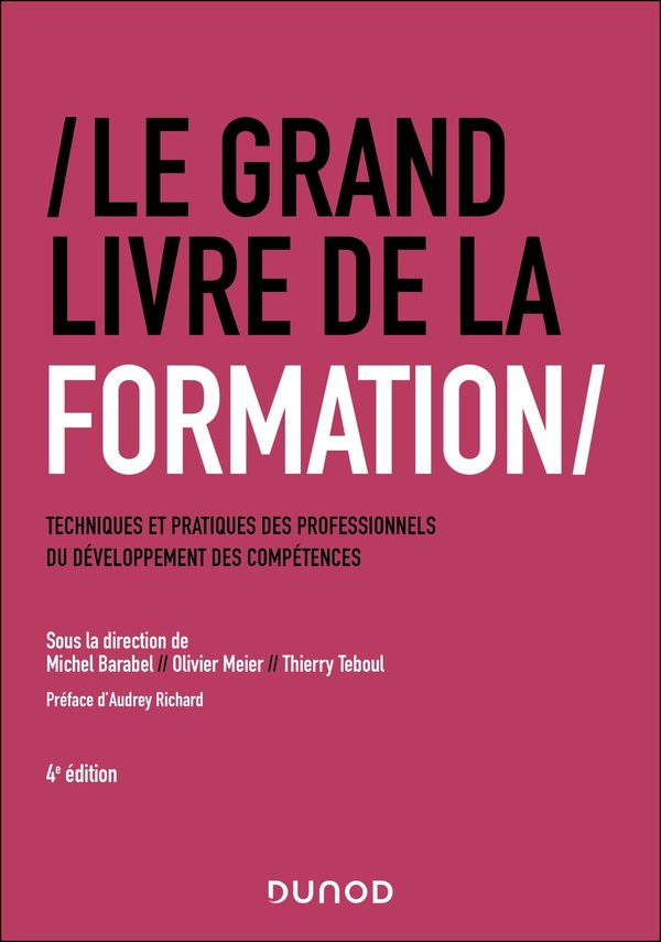 LE GRAND LIVRE DE LA FORMATION - 4E ED. - TECHNIQUES ET PRATIQUES DES PROFESSIONNELS DU DEVELOPPEMEN