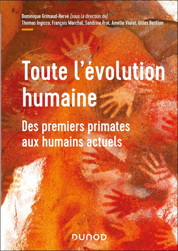 TOUTE L'EVOLUTION HUMAINE - DES PREMIERS PRIMATES AUX HUMAINS ACTUELS