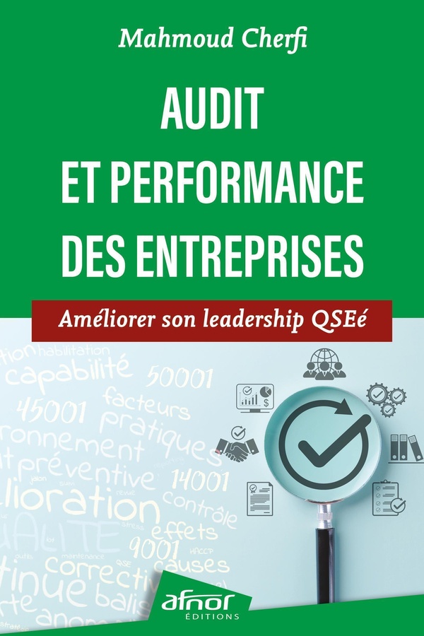 AUDIT ET PERFORMANCE DES ENTREPRISES - AMELIORER SON LEADERSHIP QSEE