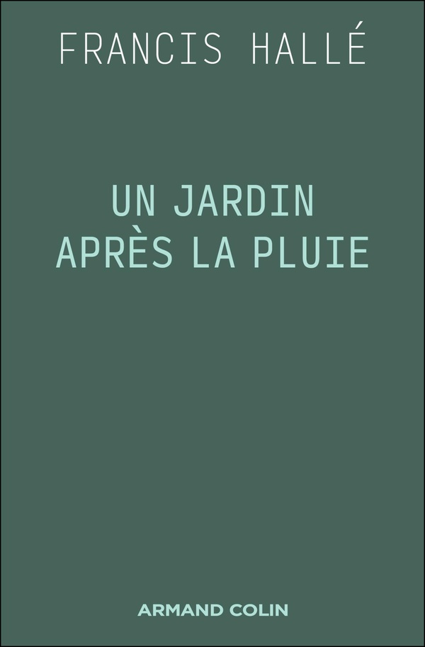UN JARDIN APRES LA PLUIE