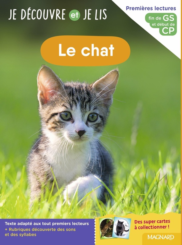JE DECOUVRE ET JE LIS GS ET CP - LE CHAT - FIN DE GS ET DEBUT DE CP
