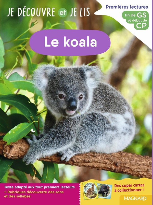 JE DECOUVRE ET JE LIS GS ET CP - LE KOALA - FIN DE GS ET DEBUT DE CP