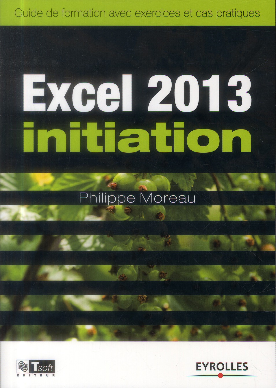 EXCEL 2013 INITIATION