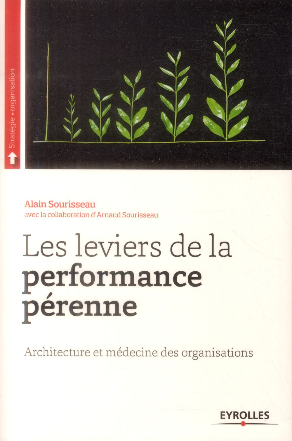 LES LEVIERS DE LA PERFORMANCE PERENNE - ARCHITECTURE ET MEDECINE DES ORGANISATIONS.