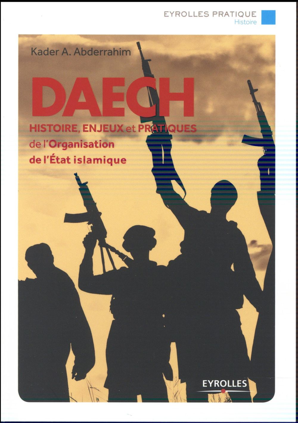 DAECH - HISTOIRE, ENJEUX ET PRATIQUES DE L'ORGANISATION DE L'ETAT ISLAMIQUE.
