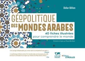 GEOPOLITIQUE DES MONDES ARABES - 40 FICHES ILLUSTREES POUR COMPRENDRE LE MONDE