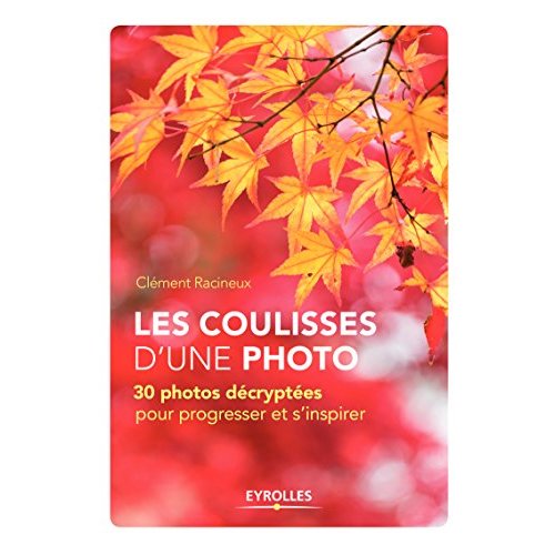 LES COULISSES D'UNE PHOTO - 30 PHOTOS DECRYPTEES POUR PROGRESSER ET S'INSPIRER