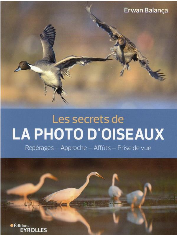 LES SECRETS DE LA PHOTO D'OISEAUX
