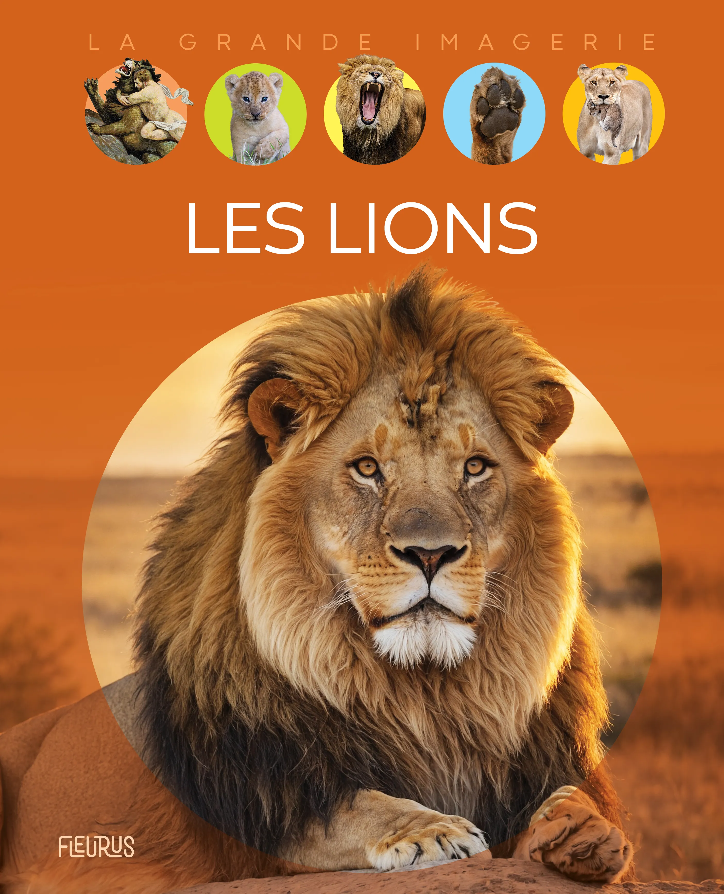 LES LIONS