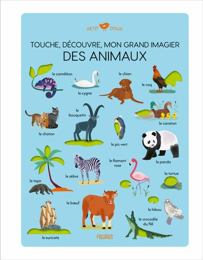 TOUCHE, DECOUVRE, MON GRAND IMAGIER DES ANIMAUX