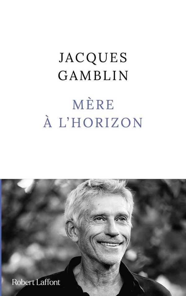 couverture du livre MERE A L'HORIZON