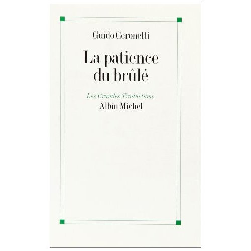 LA PATIENCE DU BRULE - CARNETS DE VOYAGES, 1983-1987
