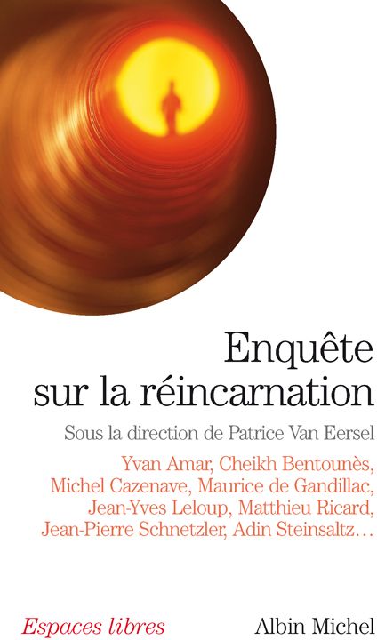 ENQUETE SUR LA REINCARNATION