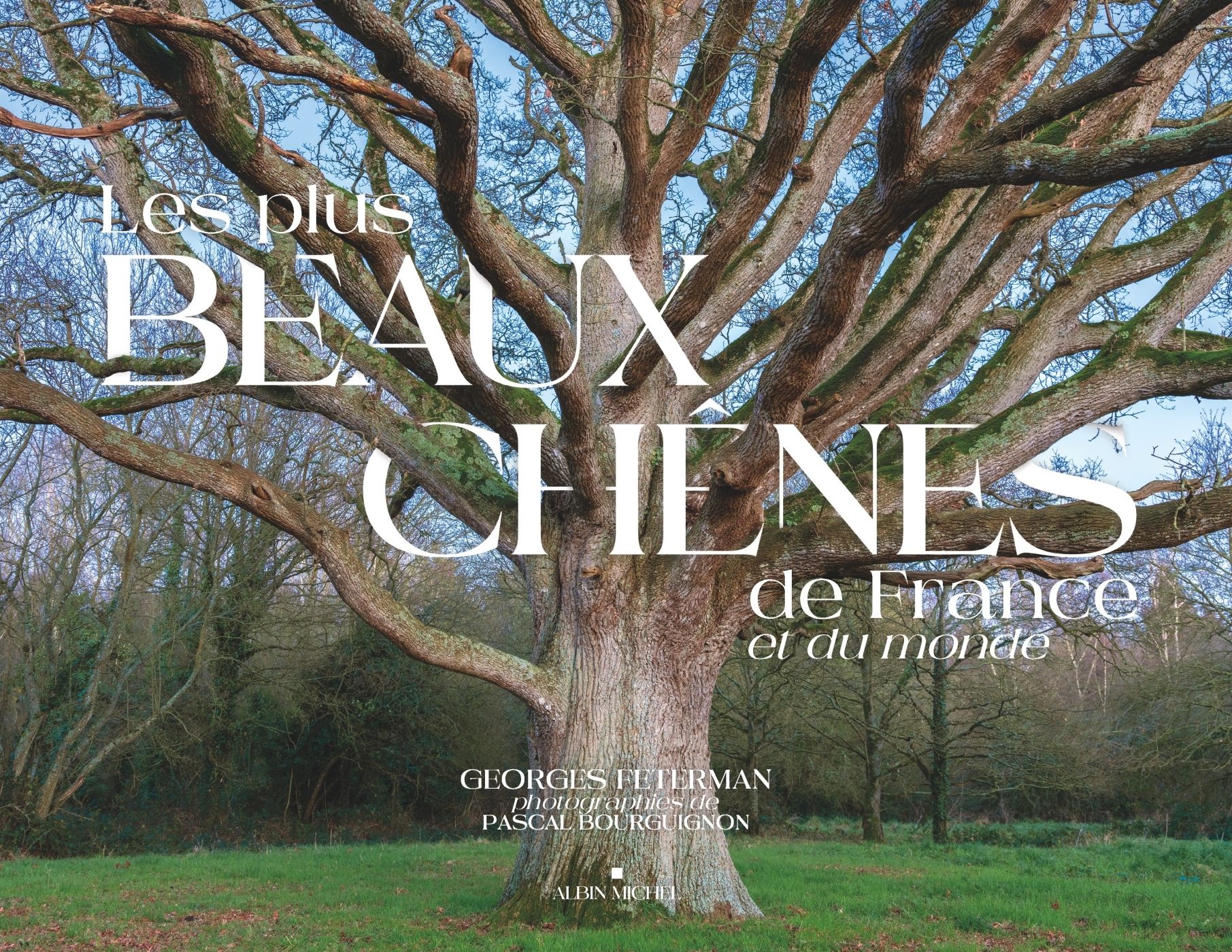 LES PLUS BEAUX CHENES DE FRANCE ET DU MONDE