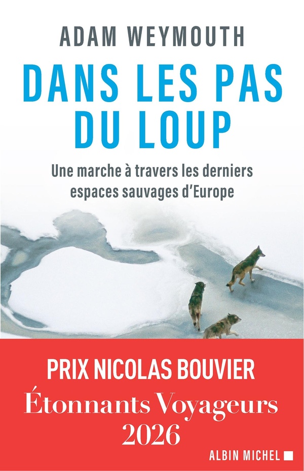 DANS LES PAS DU LOUP - UNE MARCHE A TRAVERS LES DERNIERS ESPACES SAUVAGES D'EUROPE