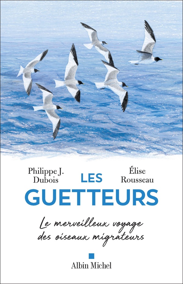 LES GUETTEURS - LE MERVEILLEUX VOYAGE DES OISEAUX MIGRATEURS