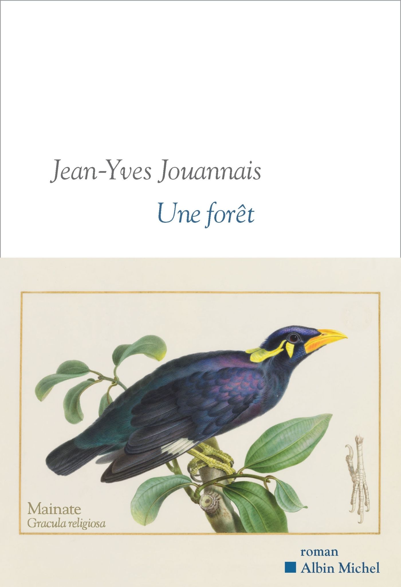 couverture du livre UNE FORET
