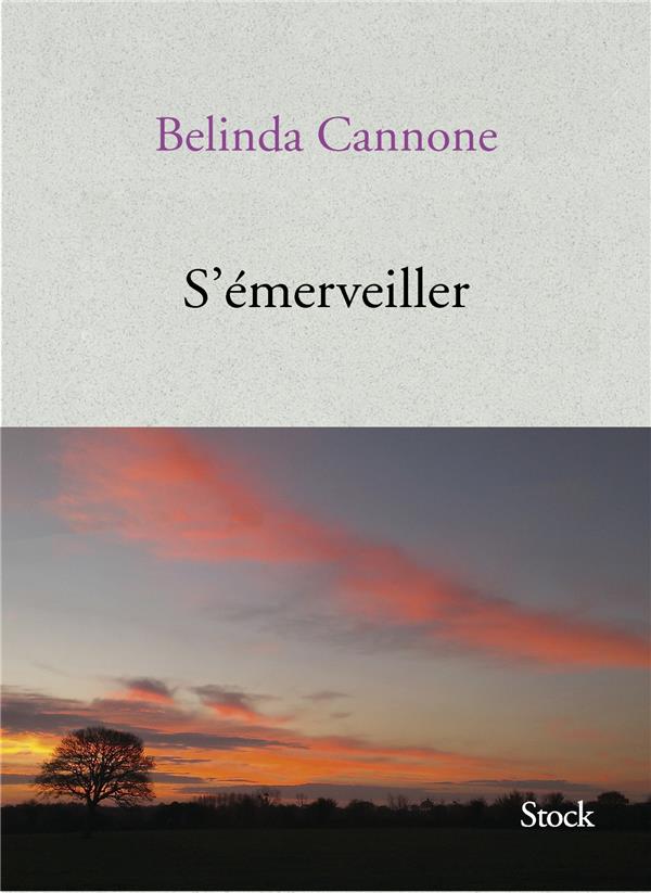 S'EMERVEILLER