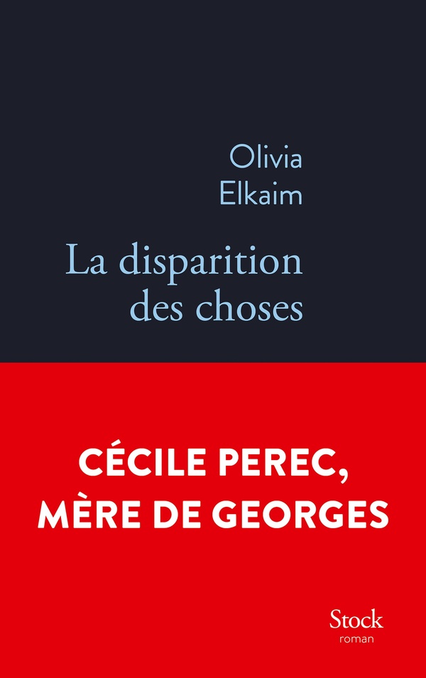 couverture du livre LA DISPARITION DES CHOSES