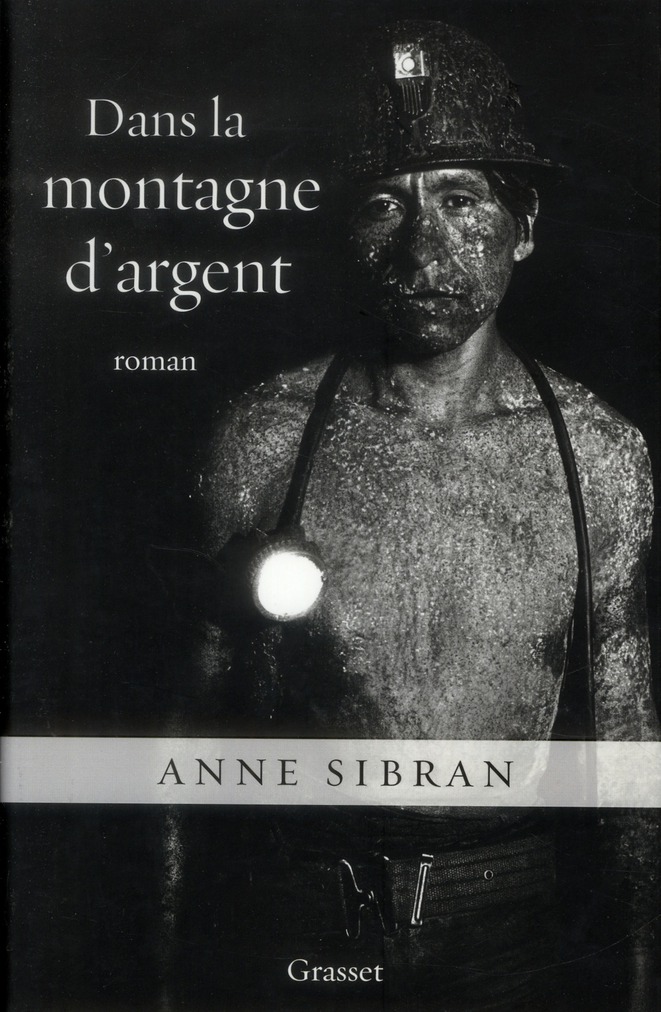 DANS LA MONTAGNE D ARGENT - ROMAN