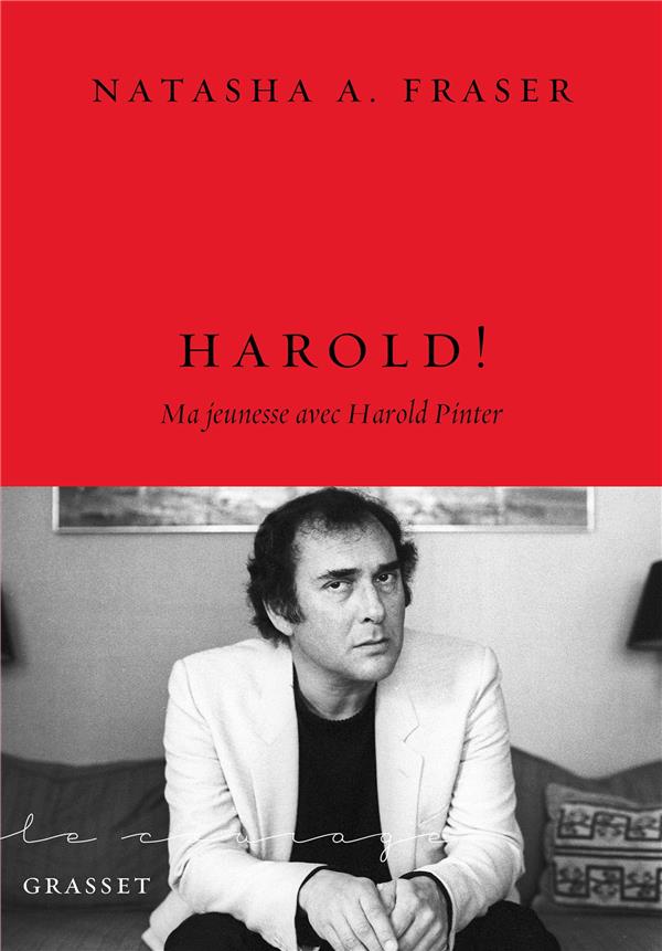 HAROLD ! - MA JEUNESSE AVEC HAROLD PINTER
