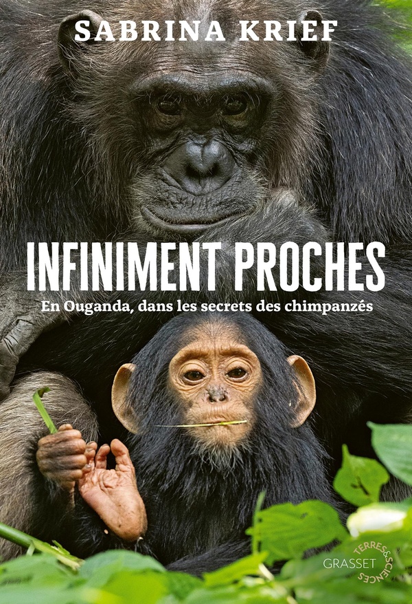 INFINIMENT PROCHES - EN OUGANDA, DANS LES SECRETS DES CHIMPANZES