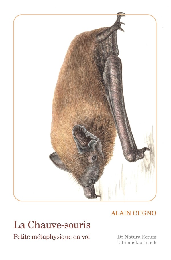LA CHAUVE-SOURIS - PETITE METAPHYSIQUE EN VOL