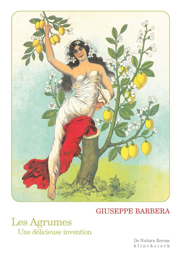 LES AGRUMES - UNE DELICIEUSE INVENTION