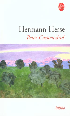 PETER CAMENZIND
