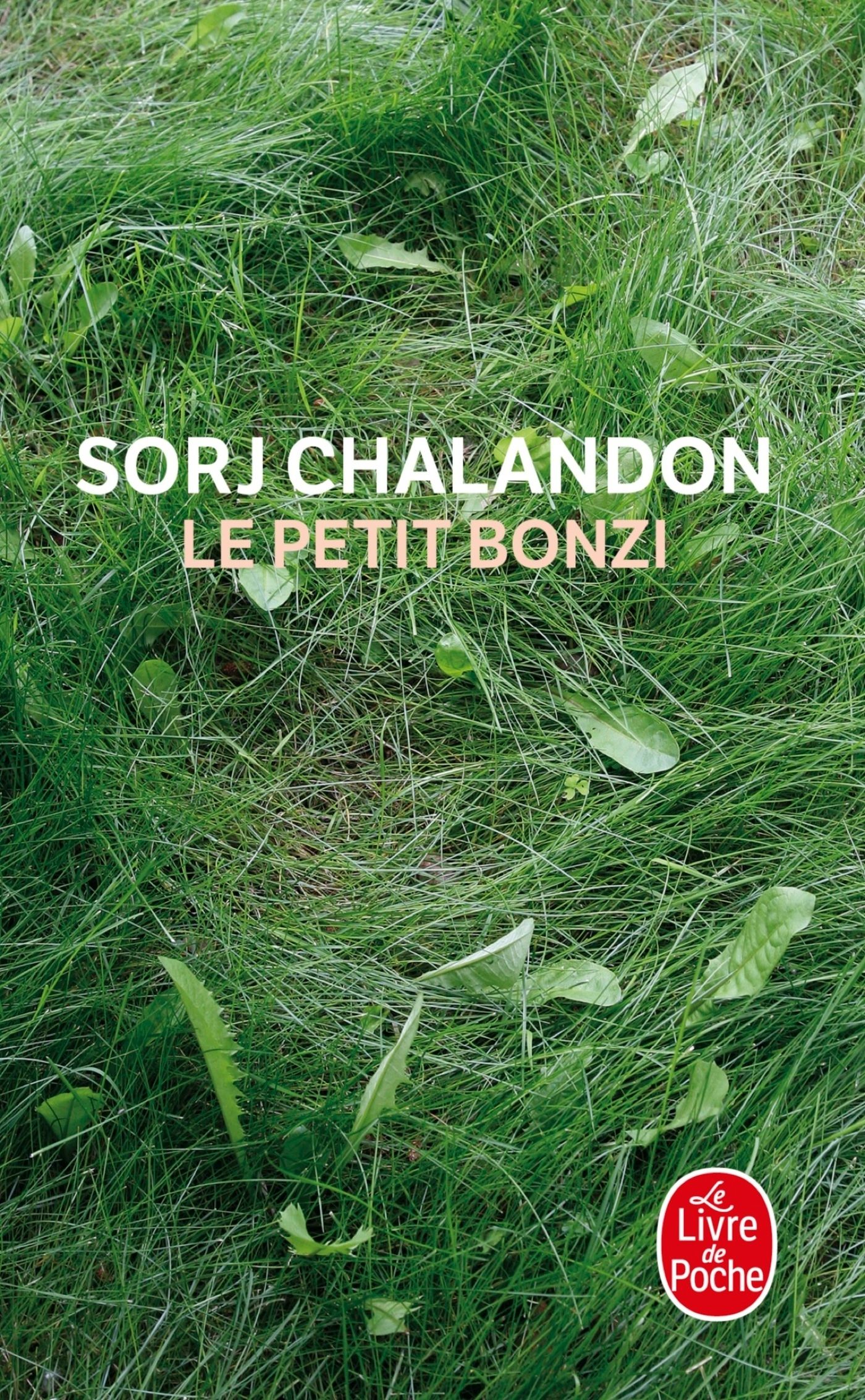 LE PETIT BONZI