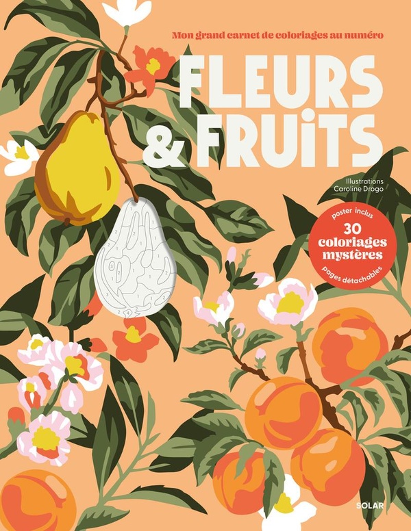 FLEURS ET FRUITS - COLORIAGES MYSTERES
