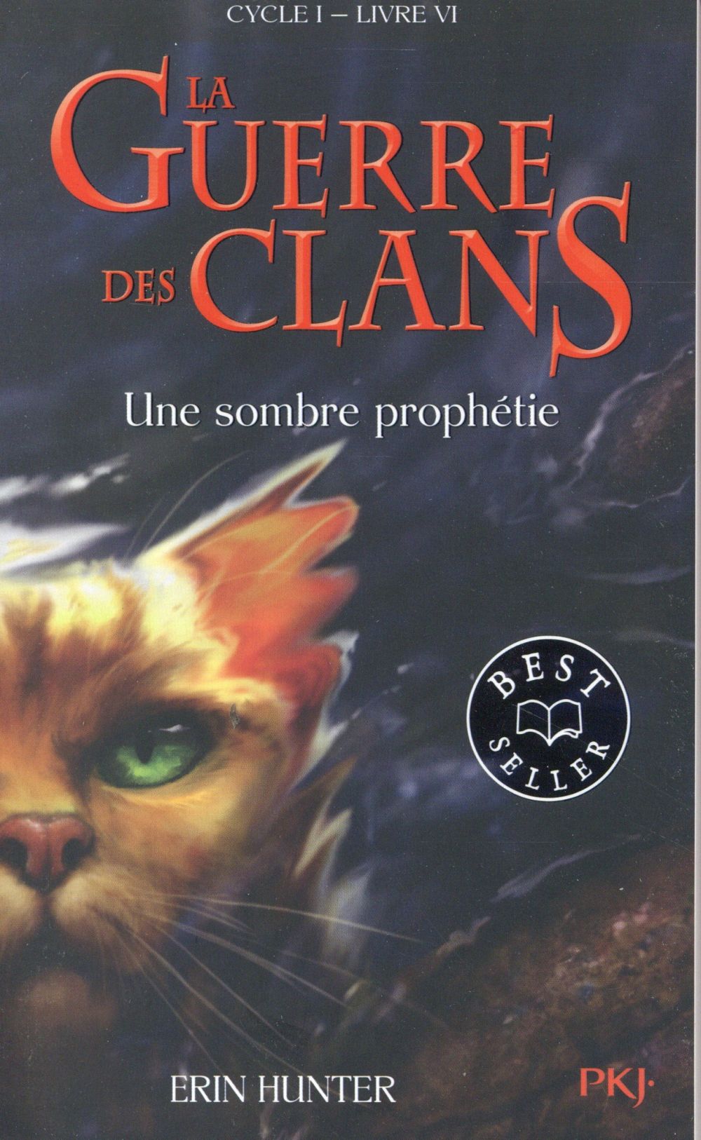LA GUERRE DES CLANS - CYCLE I - TOME 6 UNE SOMBRE PROPHETIE -POCHE- - VOL06