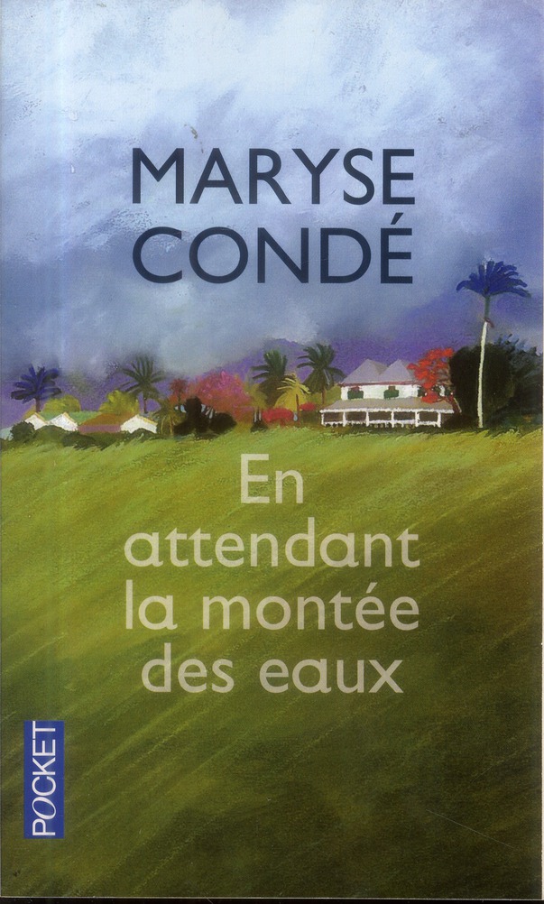 EN ATTENDANT LA MONTEE DES EAUX