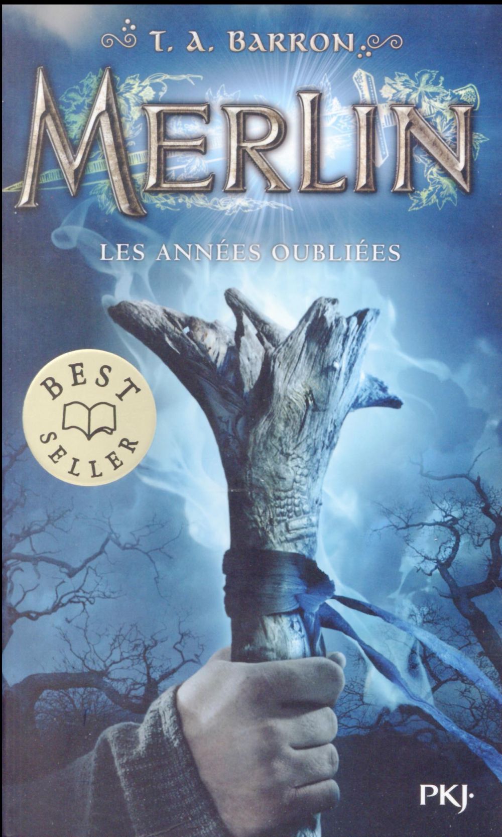MERLIN - TOME 1 LES ANNEES OUBLIEES - VOL01