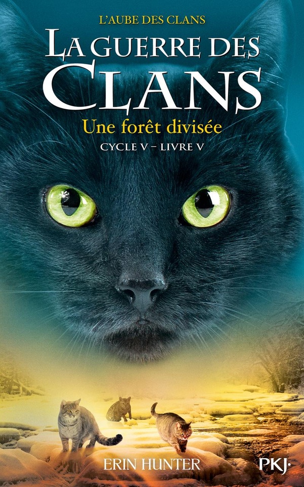 LA GUERRE DES CLANS - CYCLE V L'AUBE DES CLANS - TOME 5 UNE FORET DIVISEE - VOL05