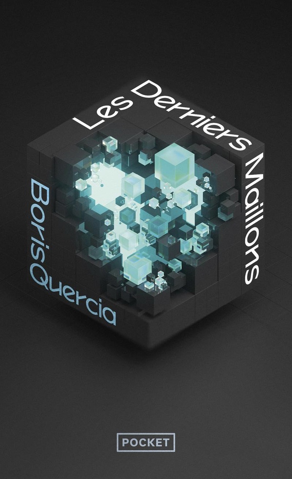 LES DERNIERS MAILLONS