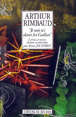 JE SUIS ICI DANS LES GALLAS - ELEMENTS D'UN PROJET DE LIVRE