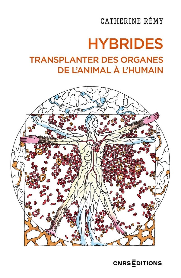 HYBRIDES - TRANSPLANTER DES ORGANES DE L'ANIMAL A L'HUMAIN